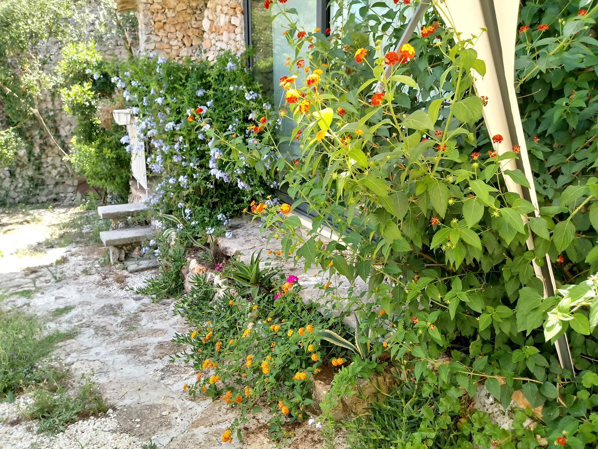Limonaia In Salento Villa Marittima Dış mekan fotoğraf